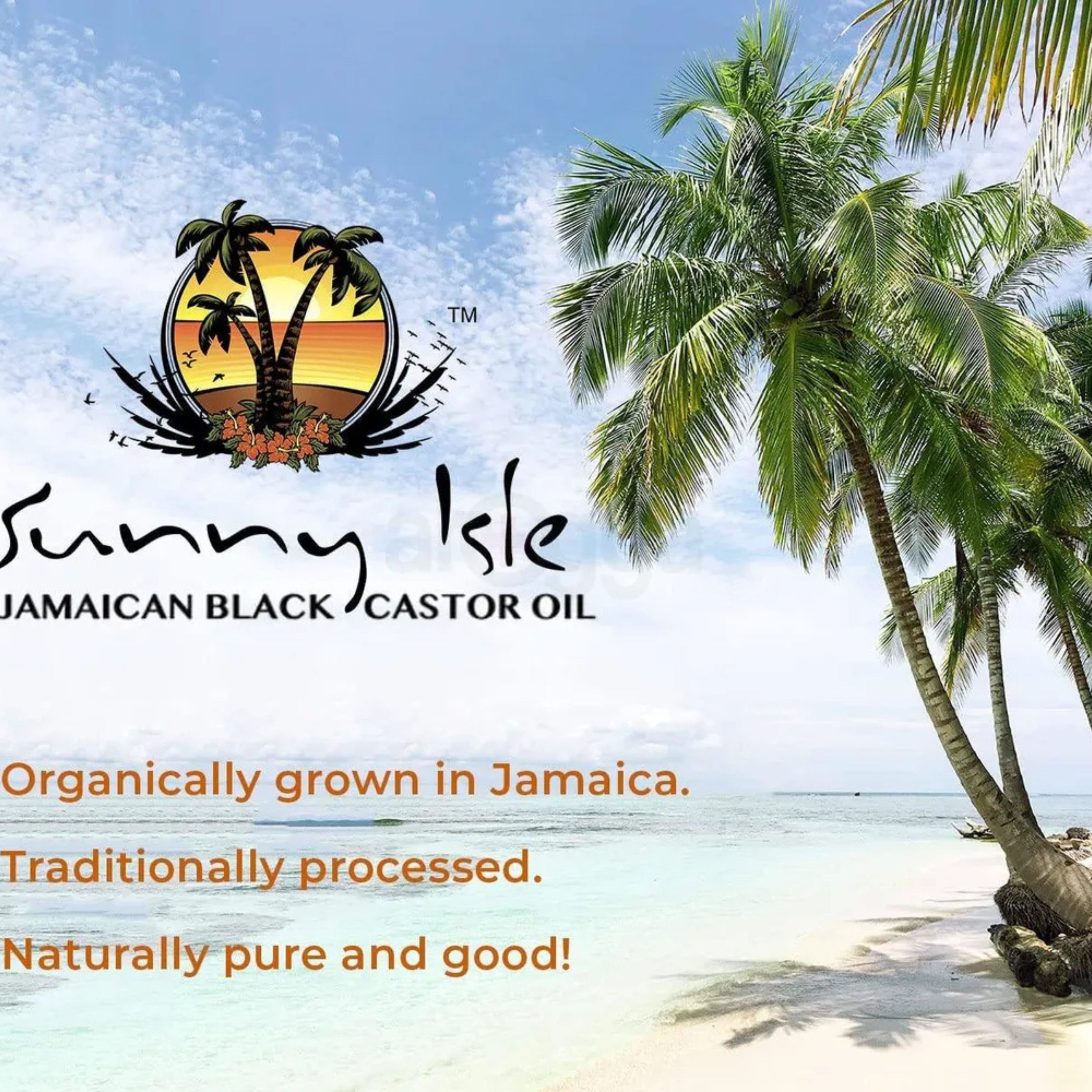 Sunny Isle Jamaican Black Castor Oil 6FL oz , 177ml - Image 3